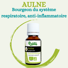 Charger l'image dans la galerie, GÉMMOTHÉRAPIE AULNE BOURGEON DU SYSTEME RESPIRATOIRE, ANTI-INFLAMMATOIRE NATUREL