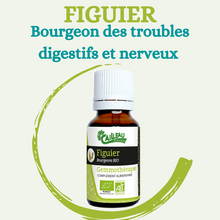 Charger l'image dans la galerie, GÉMMOTHÉRAPIE FIGUIER BOURGEON DES TROUBLES DIGESTIFS ET NERVEUX