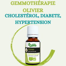 Charger l'image dans la galerie, MYRTILLE GEMMOTHĂRAPIE BIO BOURGEON DE LA VUE PAR EXCELLENCE