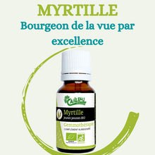 Charger l'image dans la galerie, MYRTILLE GEMMOTHĂRAPIE BIO BOURGEON DE LA VUE PAR EXCELLENCE