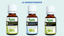 Charger l'image dans la galerie, GEMMOTHERAPIE PIN SYLVESTRE 15 ML