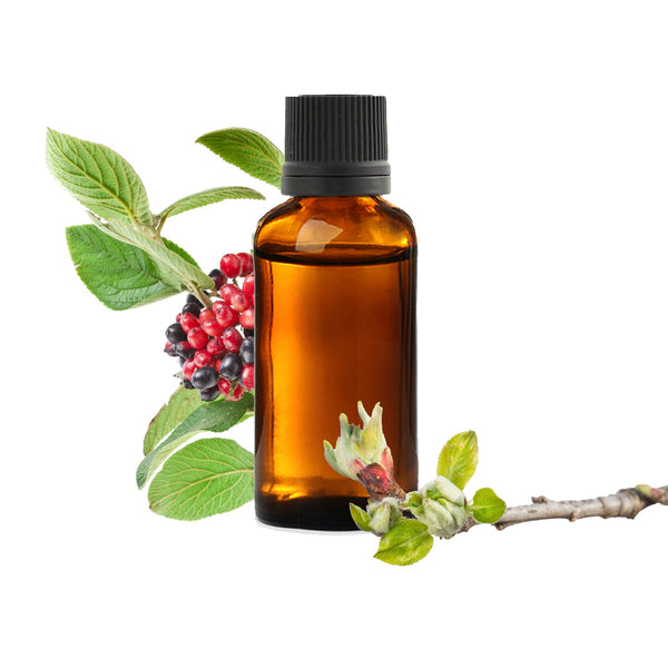 Macérat de bourgeons de Viorne