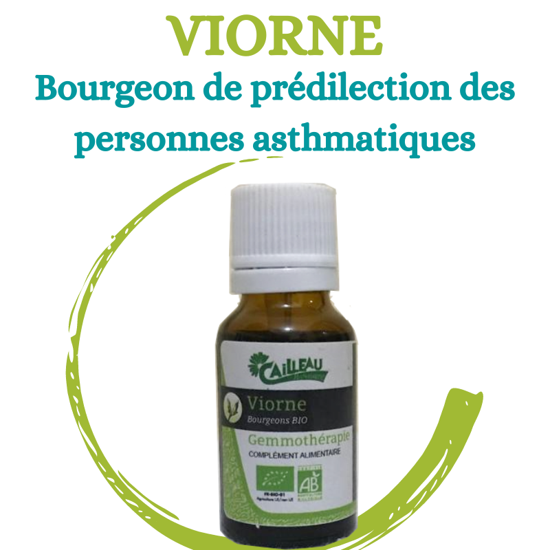 GEMMOTHÉRAPIE VIORNE BOURGEON DE LA SPHERE RESPIRATOIRE