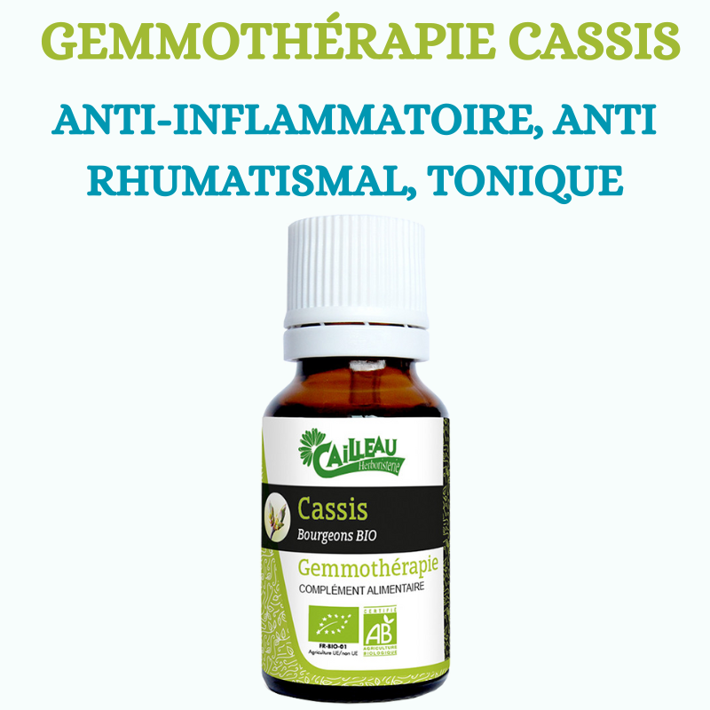 GÉMMOTHÉRAPIE CASSIS BIO