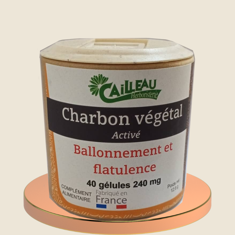 CHARBON VÉGÉTAL